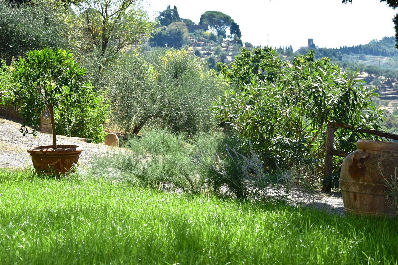 Palazzina Del Chiasso Bed & Breakfast San Martino in Freddana Bagian luar foto