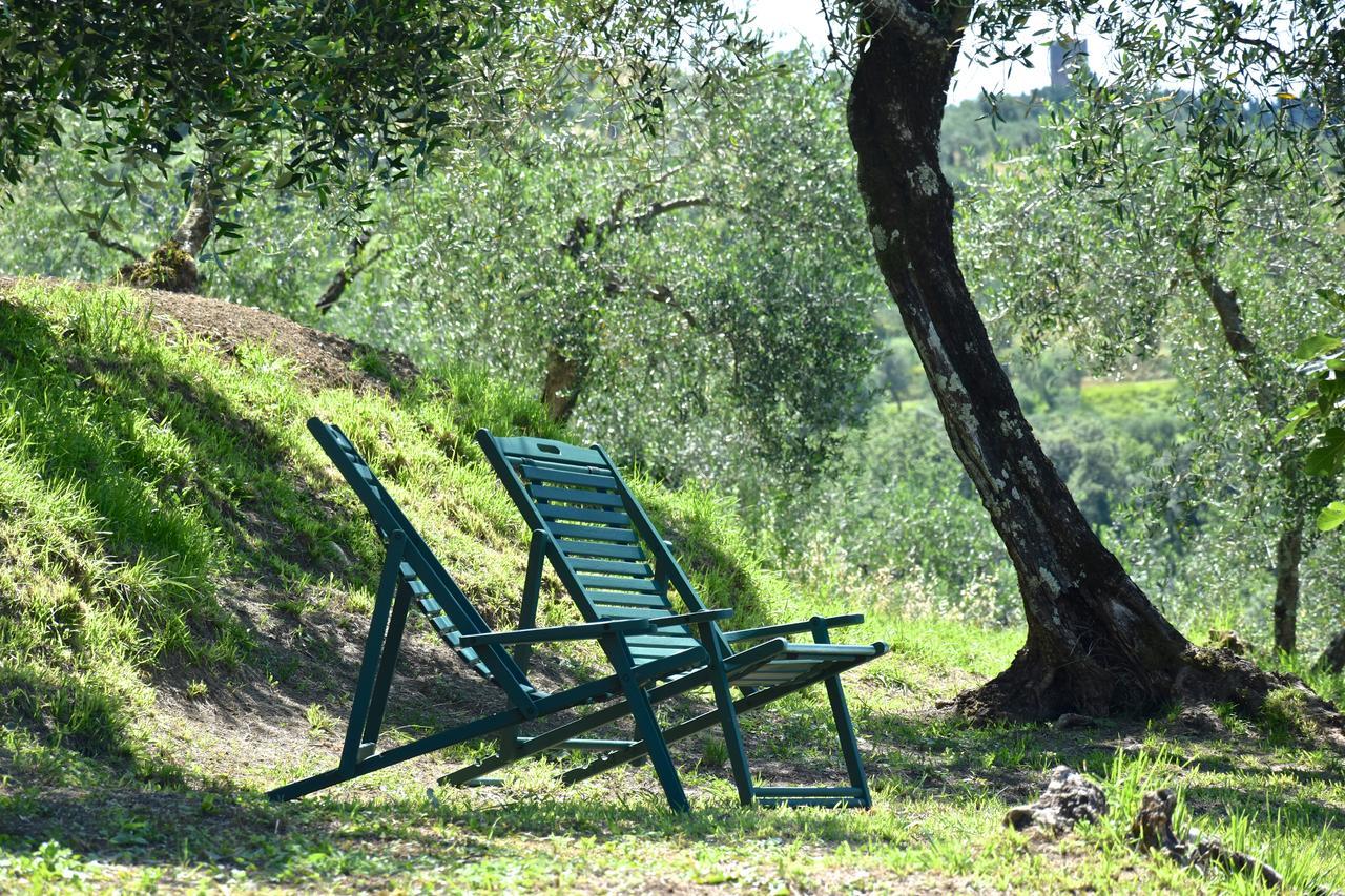 Palazzina Del Chiasso Bed & Breakfast San Martino in Freddana Bagian luar foto