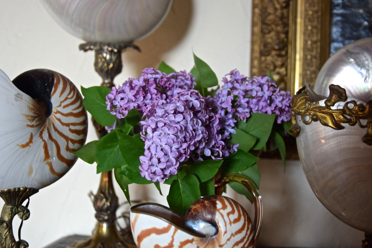 Palazzina Del Chiasso Bed & Breakfast San Martino in Freddana Bagian luar foto