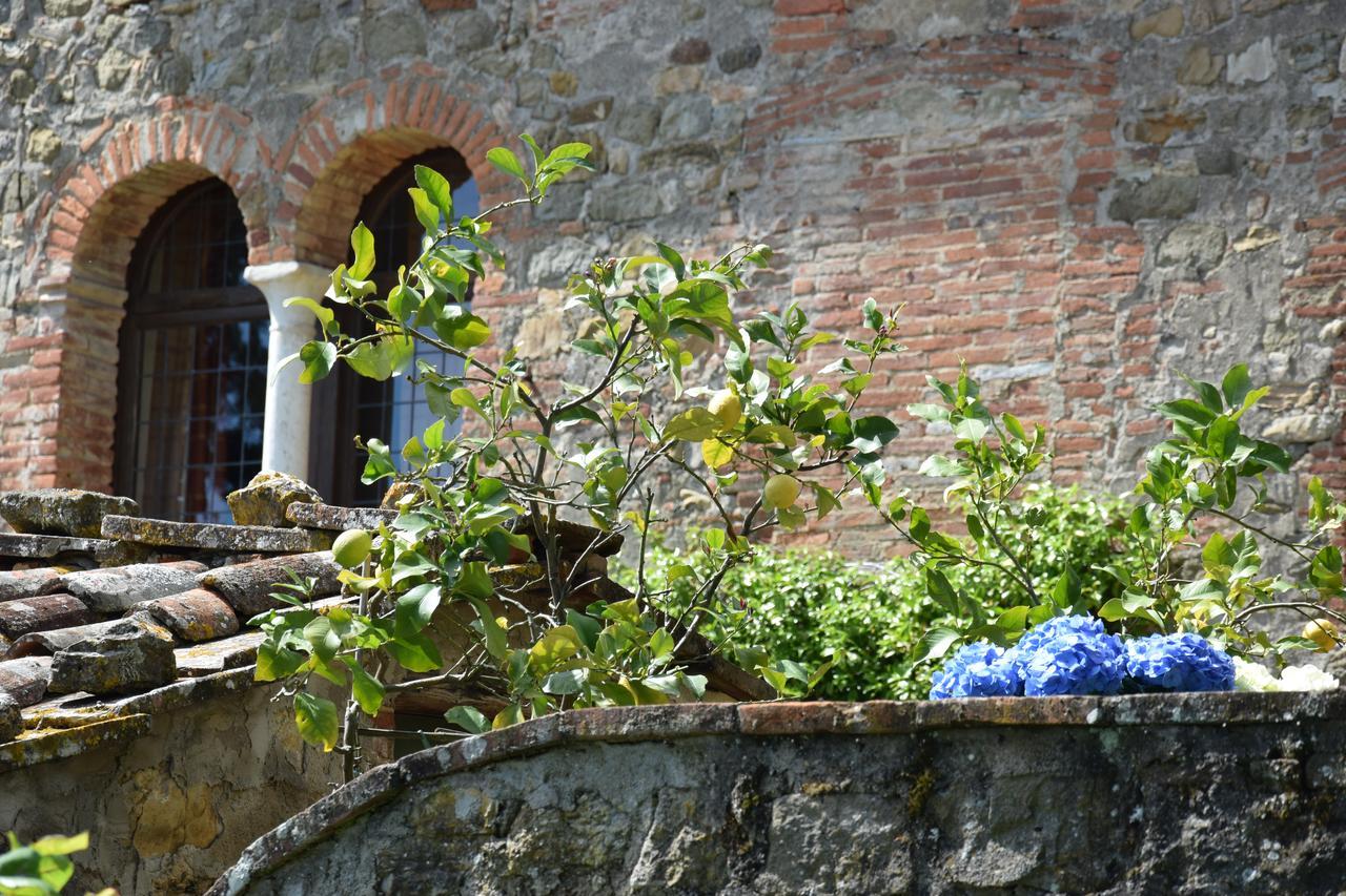 Palazzina Del Chiasso Bed & Breakfast San Martino in Freddana Bagian luar foto