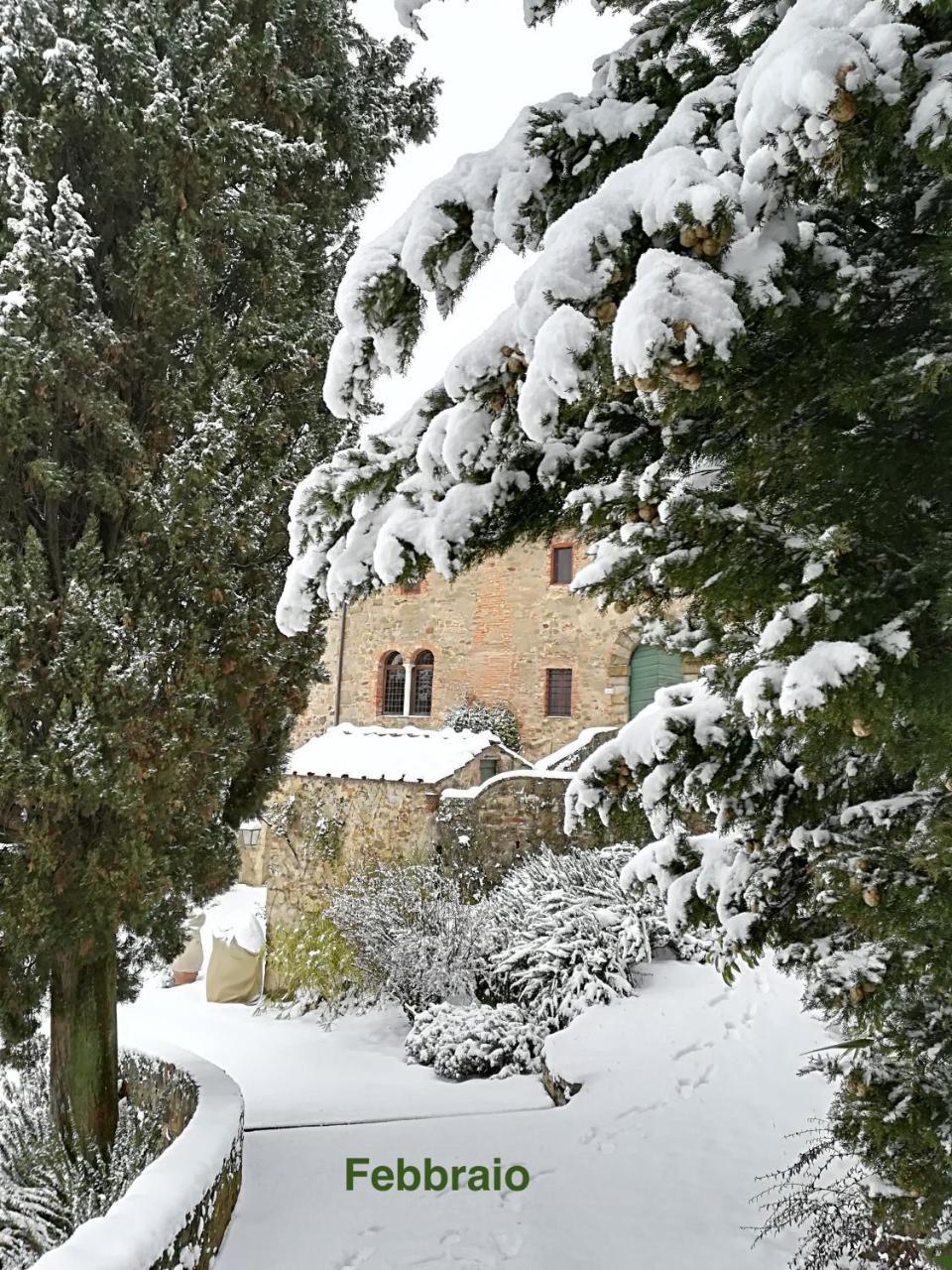 Palazzina Del Chiasso Bed & Breakfast San Martino in Freddana Bagian luar foto